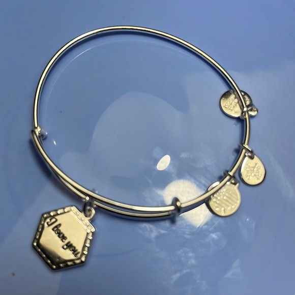 Alex and Ani Silver Charm Bracelet - Picture 3 of 4